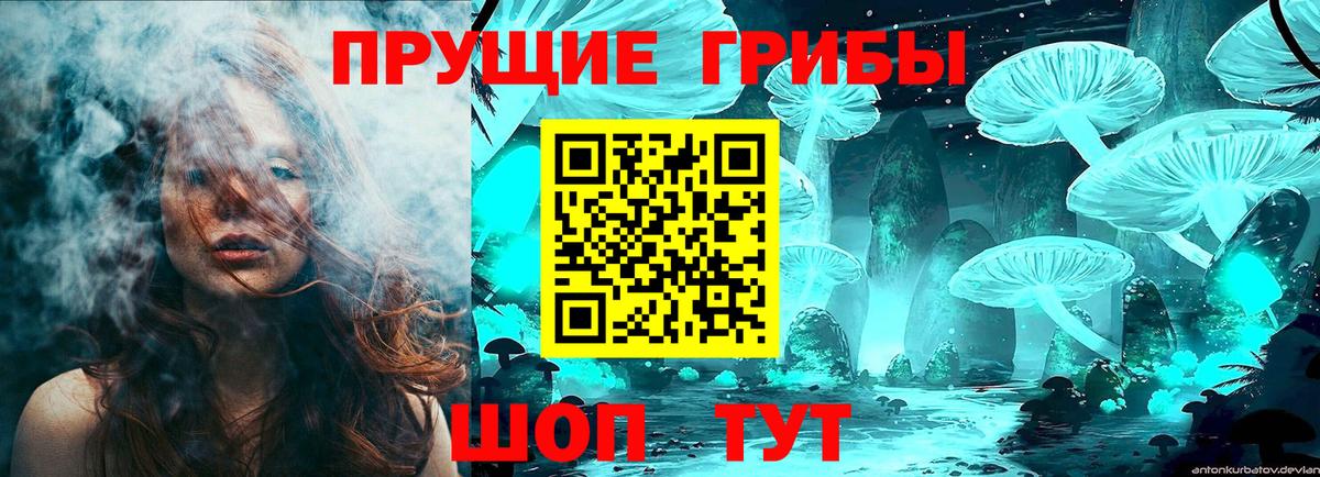 Галлюциногенные грибы Psilocybine cubensis Донецк