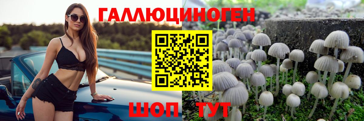 Донецк  Псилоцибиновые грибы мухоморы  Вход с VPN 